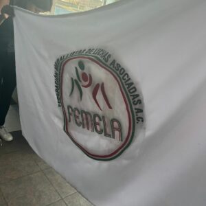 IMG-20250804-WA0004